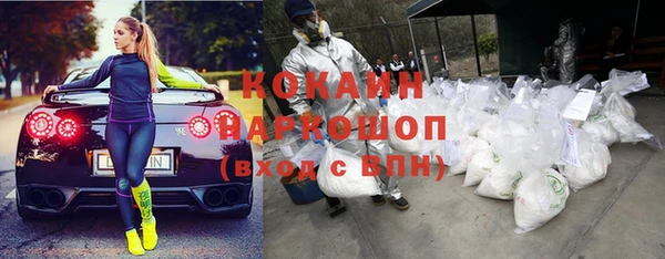 индика Карталы