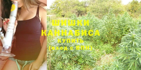 PSILOCYBIN Касимов