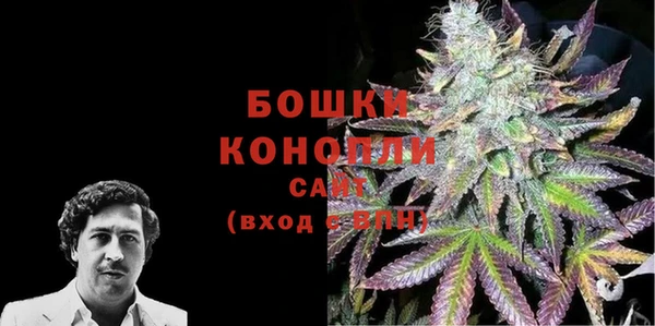 индика Карталы