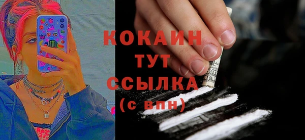 индика Карталы
