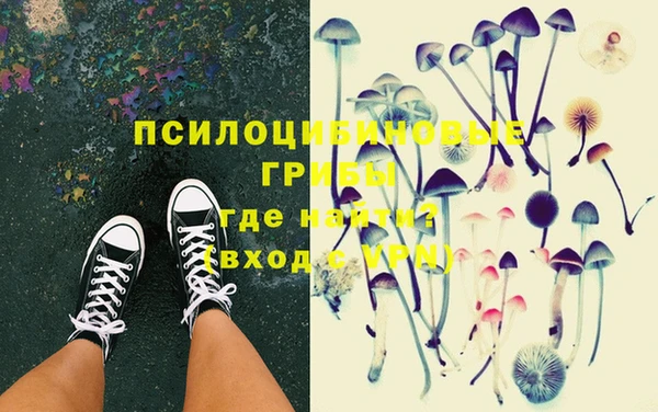 PSILOCYBIN Касимов