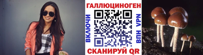купить наркоту Куса MEGA зеркало Галлюциногенные грибы MAGIC MUSHROOMS